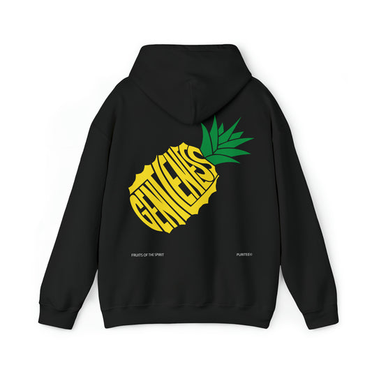 GENTLENESS Pineapple HOODIE Black