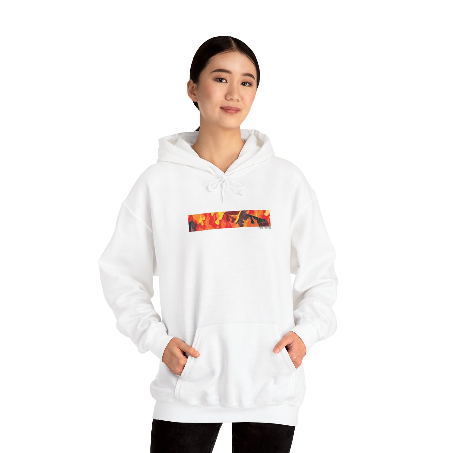 Fire ISAIAH 43:2 HOODIE Lights